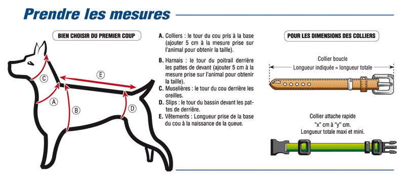 patron tricot pull pour chat