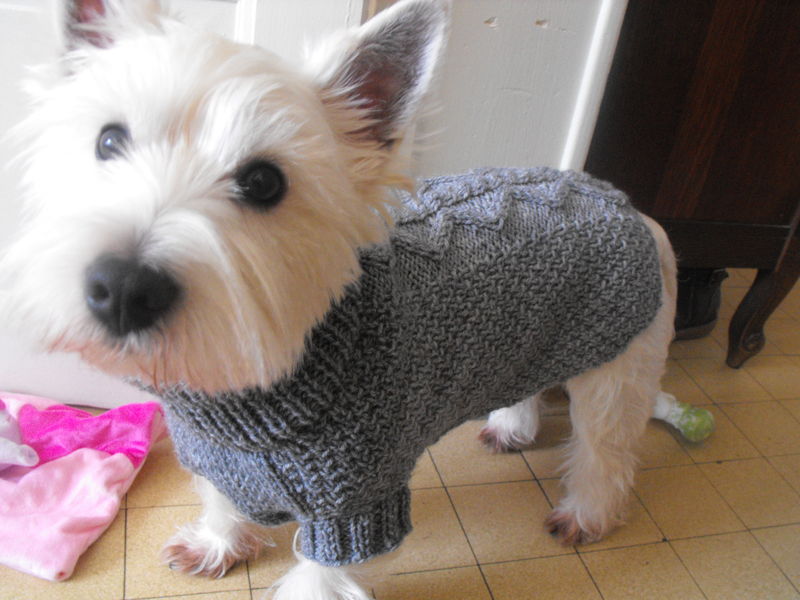 patron tricot bonnet chien