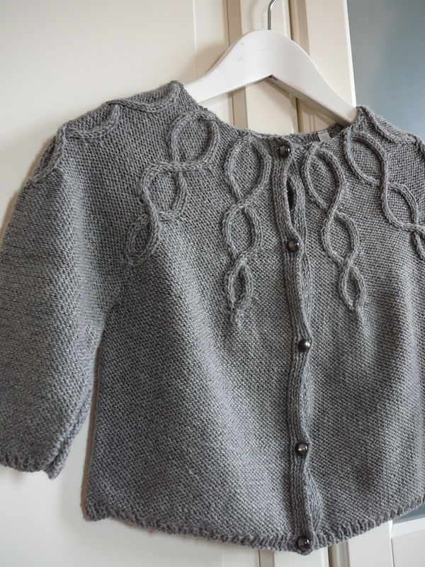patron tricot veste 18 mois