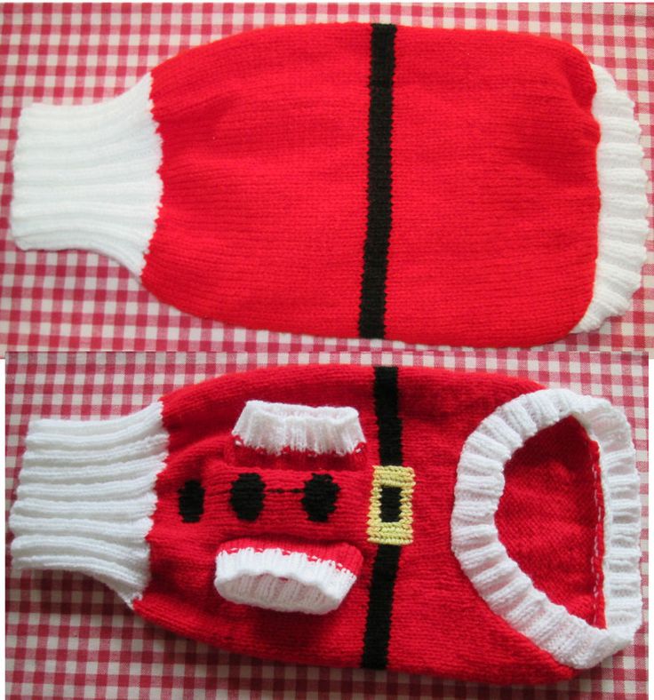 patron tricot tuque chien