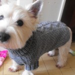 patron tricot tuque chien